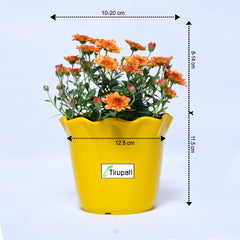 Sevanti Chocolate Plant