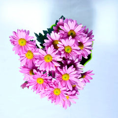 Sevanti Purpel Plant