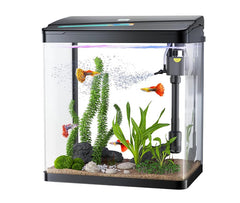 Aquarium Kukupet – 825L